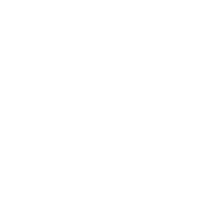 Logotip tvrtke DSS Services.