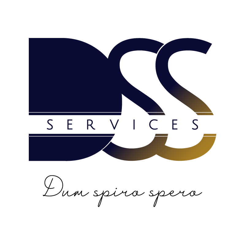 Logotip tvrtke DSS Services.